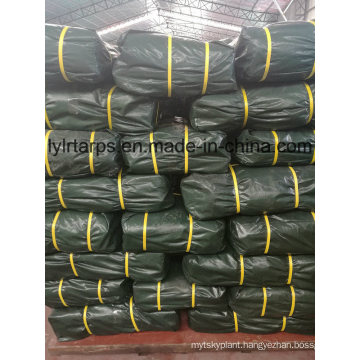 Finished PE Tarpaulin Sheet, Truck Cover Tarpaulin, Waterproof Green Tarpaulin